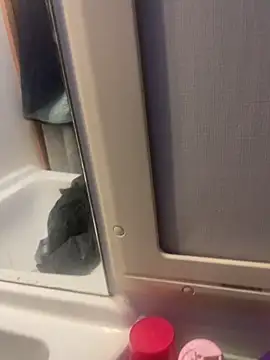 stallone italiano 62 online show from February 2026 06:57:02 AM