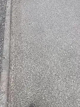 stallone italiano 62 online show from April 2026 06:16:01 AM