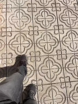 stallone italiano 62 online show from March 2026 09:41:02 AM