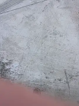 stallone italiano 62 online show from February 2026 11:08:02 AM