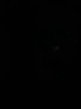 stallone italiano 62 online show from April 2026 04:41:02 AM