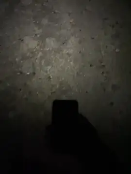 stallone italiano 62 online show from February 2026 11:24:02 PM