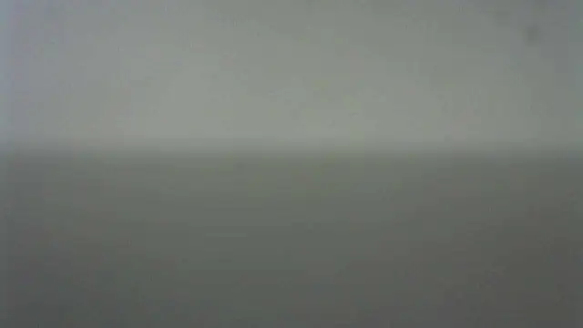 Thommas8a online show from February 2026 03:53:02 AM