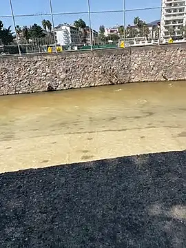 dundar0765 online show from March 2026 09:36:02 AM