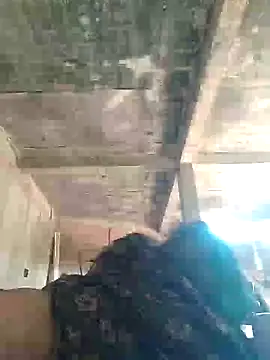 Loomaraj online show from April 2026 07:33:02 AM