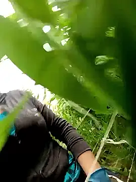 Abigail office online show from February 2026 06:30:02 PM