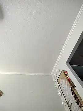 dannistx online show from February 2026 08:17:02 PM