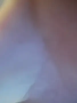 fifo9000 online show from February 2026 06:44:01 AM