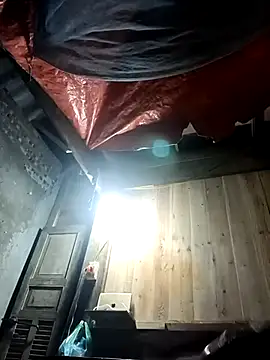 NAINKUTE online show from February 2026 03:37:02 AM