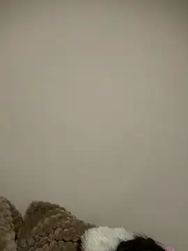 justinahallo online show from March 2026 04:30:02 AM