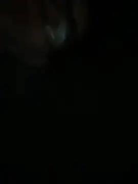 Femboysissy1919 online show from April 2026 01:18:01 AM