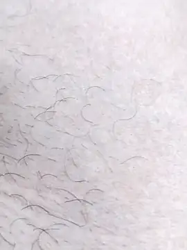 Bangladeshi big online show from April 2026 06:22:01 PM