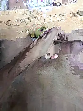 Bangladeshi big online show from April 2026 10:00:02 AM