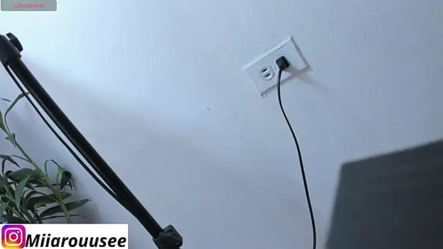 miarouse 0 online show from April 2026 08:59:02 PM