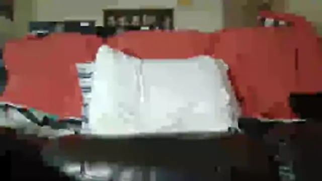 southeastindiann online show from April 2026 10:53:01 AM