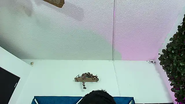 AlexaRousse4u online show from March 2026 02:21:01 AM