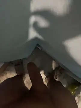 tardecaliente online show from February 2026 07:08:02 AM