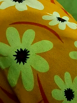 Snapshot of Ranjet01 chatting on February 2026 01:33:02 PM Ranjet01 online show from February 2026 01:33:02 PM