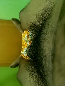 Snapshot of Ranjet01 chatting on February 2026 11:54:01 AM Ranjet01 online show from February 2026 11:54:01 AM