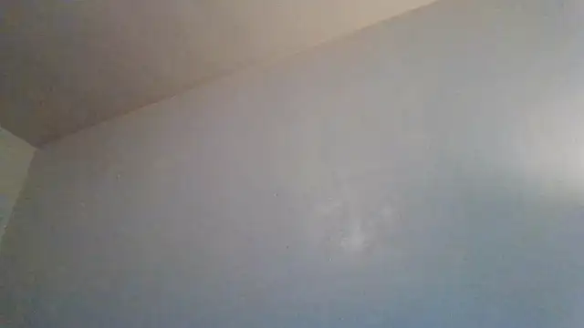 Snapshot of Tallhungandcloudy chatting on February 2026 08:28:01 PM Tallhungandcloudy online show from February 2026 08:28:01 PM