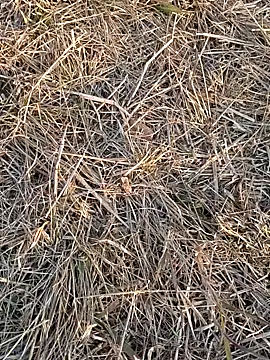 Snapshot of Kiran_hote chatting on February 2026 11:54:02 AM Kiran hote online show from February 2026 11:54:02 AM