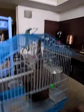 sexysilmy online show from February 2026 08:36:02 AM