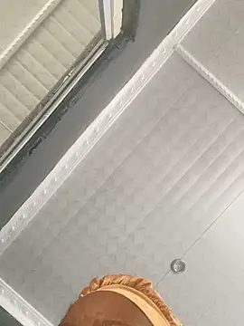 vee 26 online show from February 2026 12:48:02 PM