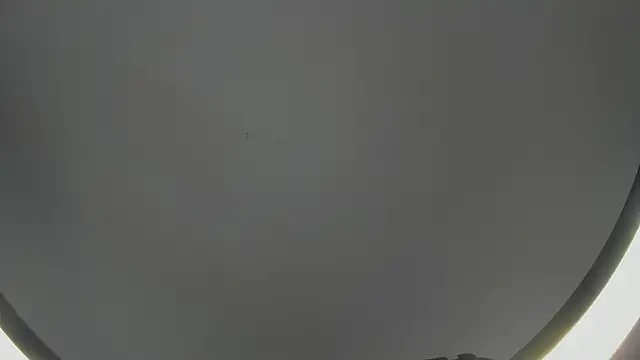 SinLickerr online show from February 2026 07:43:01 PM