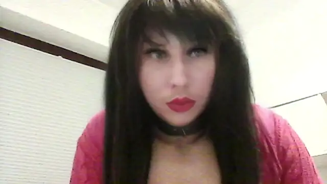 Sissy Boypussy online show from February 2026 11:13:01 PM