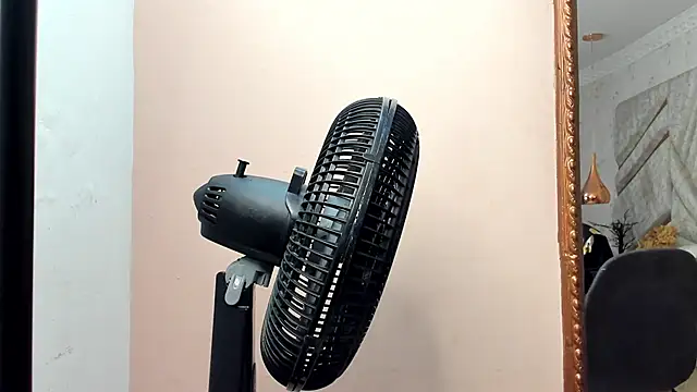 CloheBell online show from February 2026 11:31:02 AM