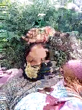 Pallavi hote online show from February 2026 06:13:01 AM