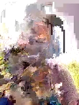 Pallavi hote online show from February 2026 06:05:02 AM