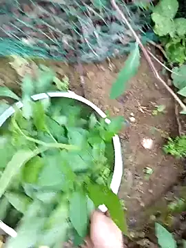 Girl-crazy1 online show from March 2026 09:35:01 AM