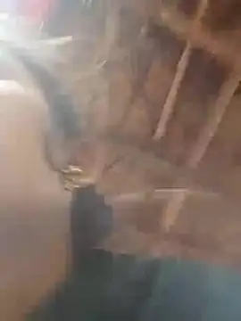 Deepjakolirr online show from April 2026 12:37:01 AM