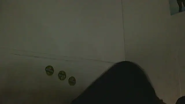 pbilip7787 online show from February 2026 09:47:02 PM