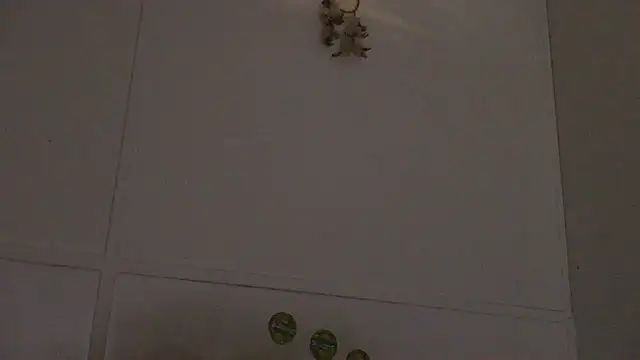 pbilip7787 online show from February 2026 09:58:02 PM