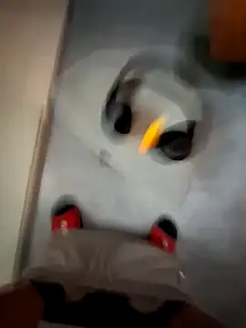 cetriolino online show from March 2026 06:17:01 AM