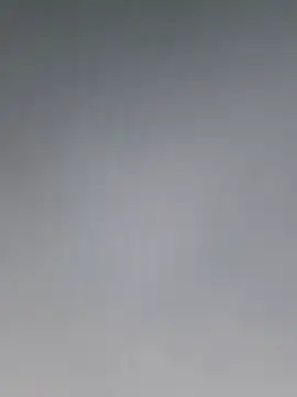 cetriolino online show from March 2026 08:28:01 AM