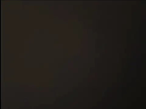 Snapshot of lligongzhi chatting on February 2026 04:07:01 PM lligongzhi online show from February 2026 04:07:01 PM