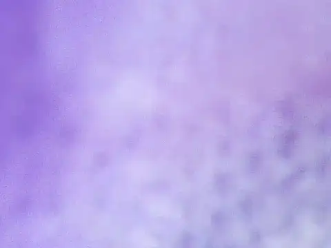 Aliclark online show from February 2026 07:04:01 PM