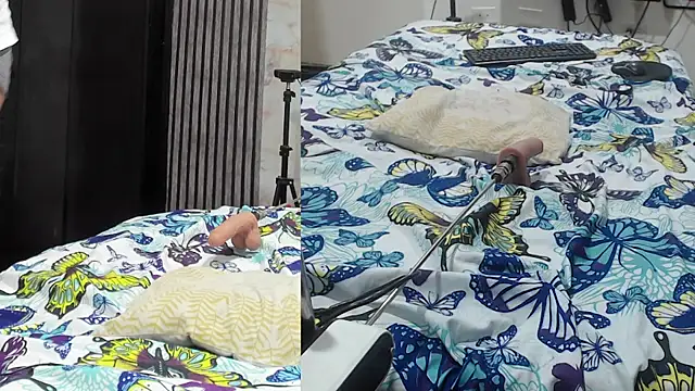 isabella castro2 online show from March 2026 03:23:01 AM