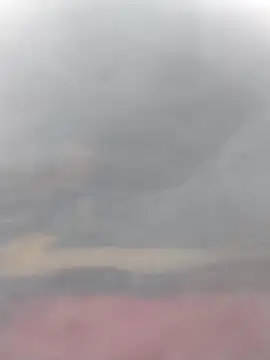 cobrosdepagos online show from March 2026 03:07:01 PM