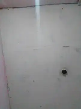 cobrosdepagos online show from February 2026 01:57:01 AM