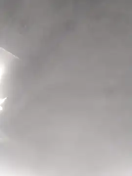 cobrosdepagos online show from March 2026 07:46:02 AM