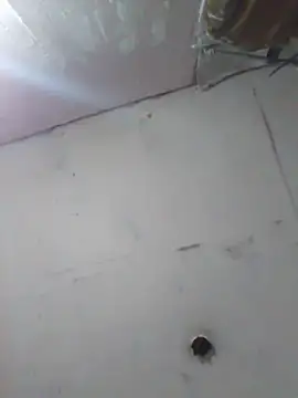 cobrosdepagos online show from April 2026 04:20:02 AM