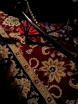 stressrliver88 online show from February 2026 08:58:01 AM