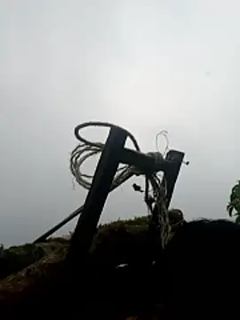 nelina 12345 online show from April 2026 11:22:02 AM