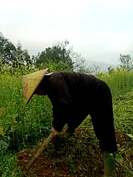 nelina 12345 online show from March 2026 01:48:01 AM