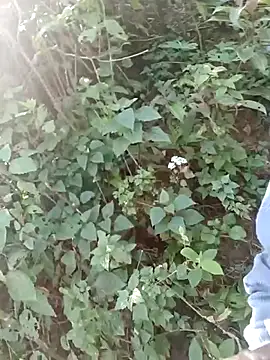 nelina 12345 online show from April 2026 02:35:01 AM