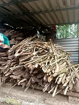 nelina 12345 online show from April 2026 12:16:02 AM